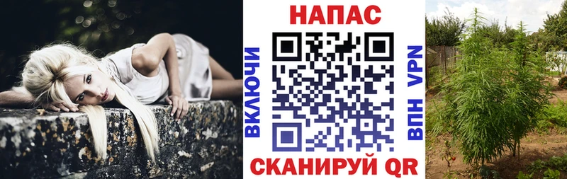 Канабис гибрид Великие Луки
